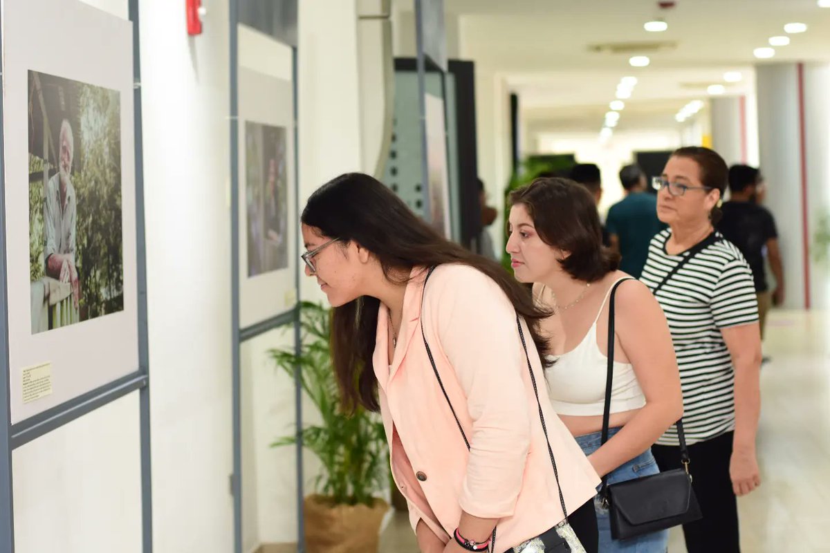 @ExpoPhotoNi tweet media