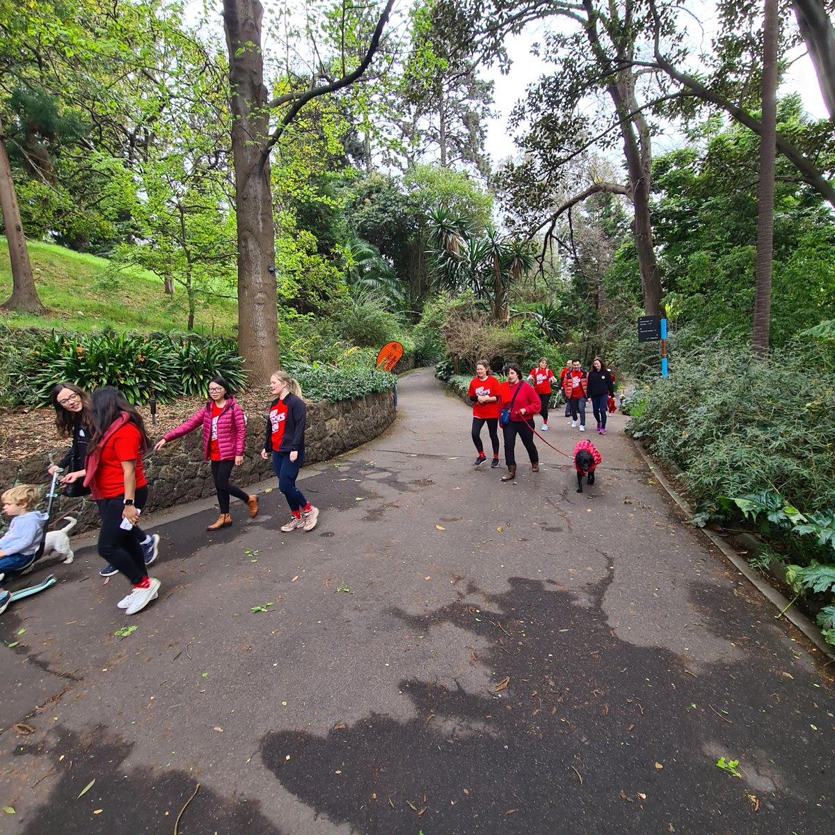 Kidney Health tweet media