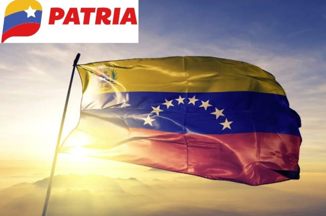 Canal Patria Digital tweet media