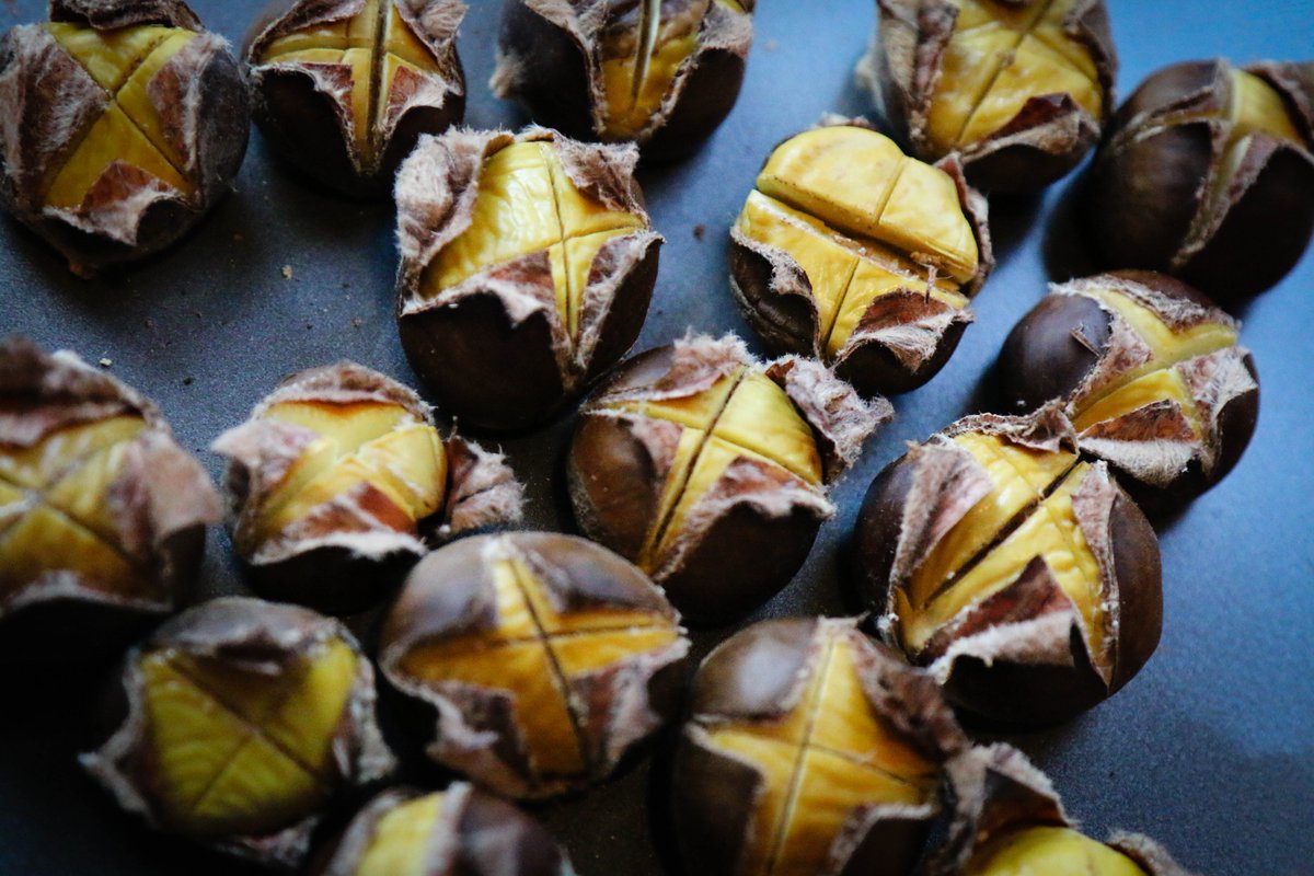 vachestnuts's tweet image. Tonight we dined on locally sourced, chestnut-fed pork. What are you cooking with your #chestnuts? #Virginia #NelsonCounty #FarmToTable #LoveVa virginiachestnuts.com