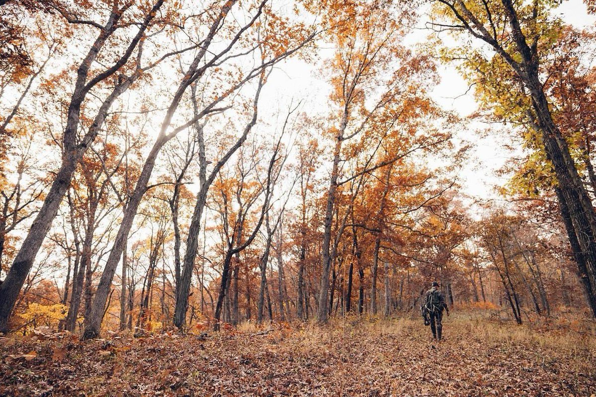 Reconyx Cameras tweet media