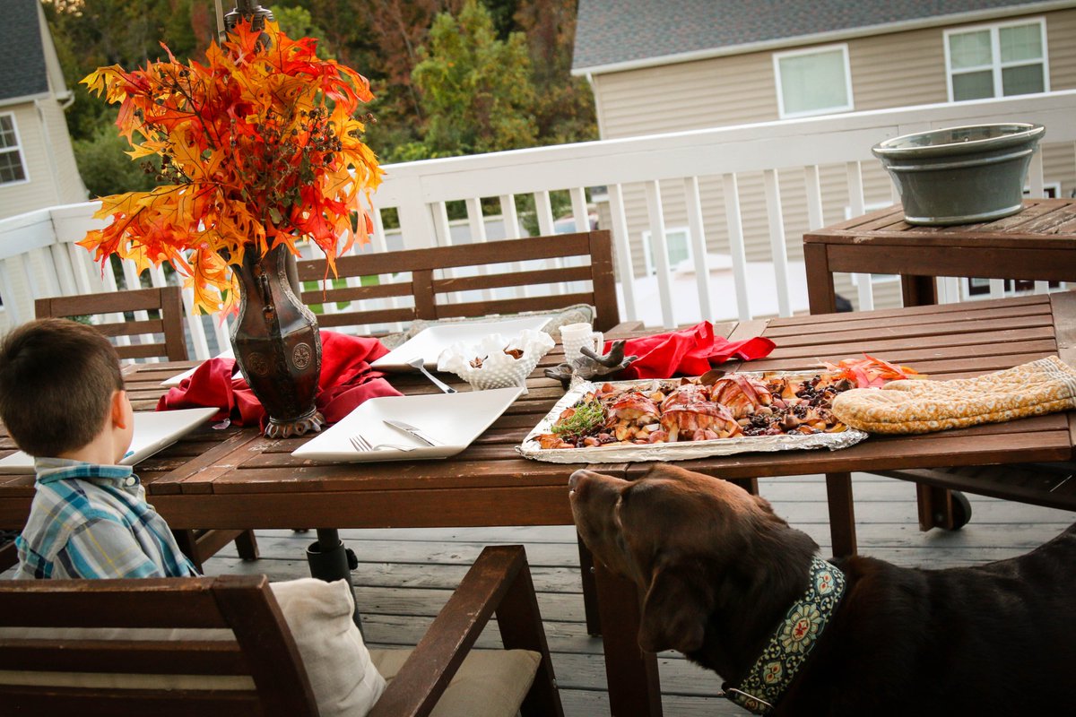 vachestnuts's tweet image. We were so grateful to see lots of familiar faces at Pick Your Own #chestnuts this weekend. Tag us in your photos when you post pictures online! #NoVA #VirginiaBeach #Annapolis #DaleCity #Crofton
virginiachestnuts.com