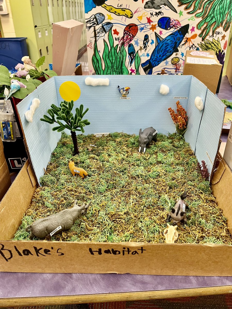 CaseyRaeK's tweet image. The habitats &amp;amp; ecosystems created by @RachelAhonen ‘s 5th grade students are an expression of their unique &amp;amp; overflowing creativity. A representation of their research &amp;amp; understanding of Life Science @Hamilton_BPE ! 🌴 🌵 🌲 🌳 #GrowingGreatness  #ScienceProjects 🌎