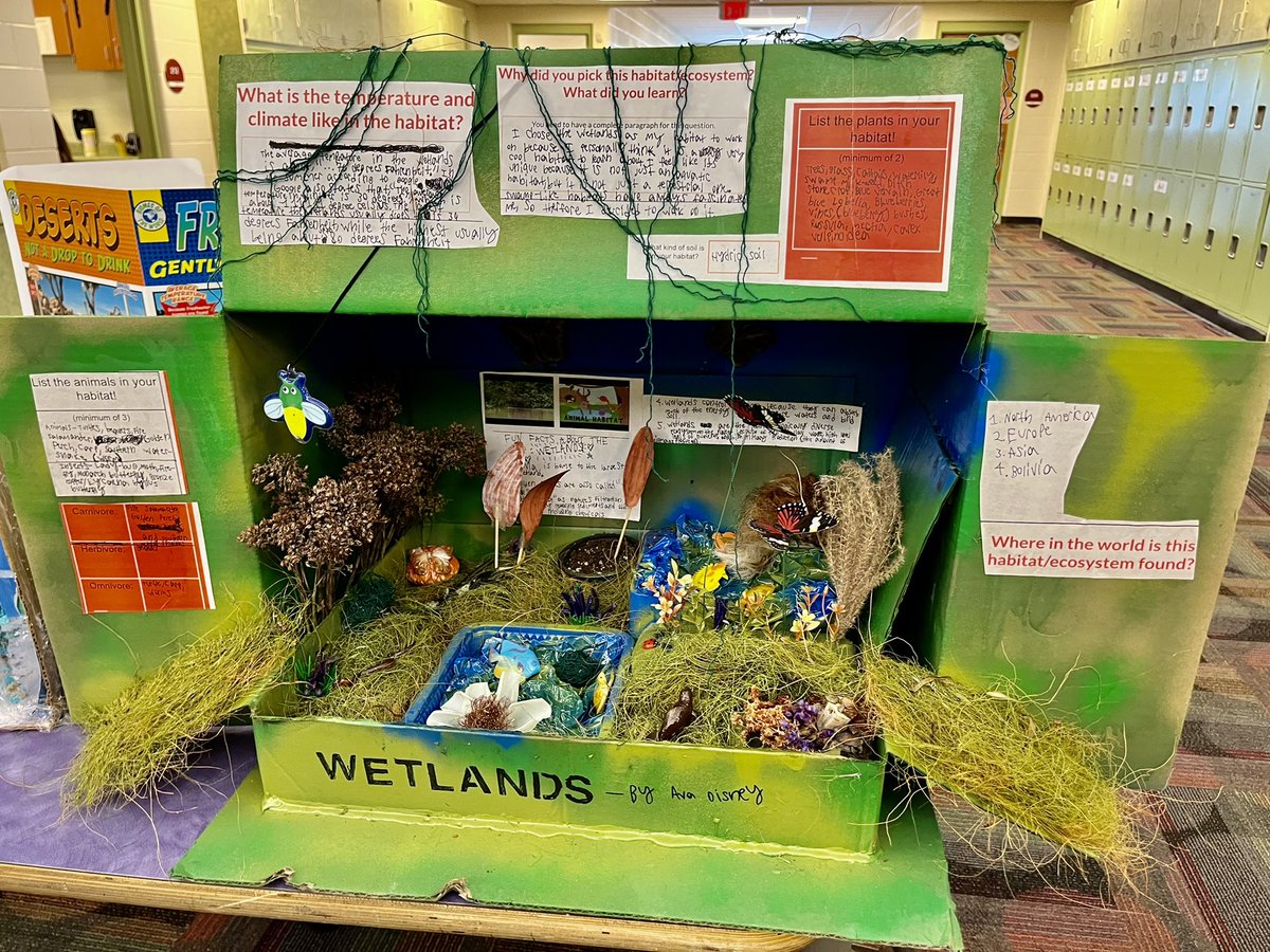 CaseyRaeK's tweet image. The habitats &amp;amp; ecosystems created by @RachelAhonen ‘s 5th grade students are an expression of their unique &amp;amp; overflowing creativity. A representation of their research &amp;amp; understanding of Life Science @Hamilton_BPE ! 🌴 🌵 🌲 🌳 #GrowingGreatness  #ScienceProjects 🌎