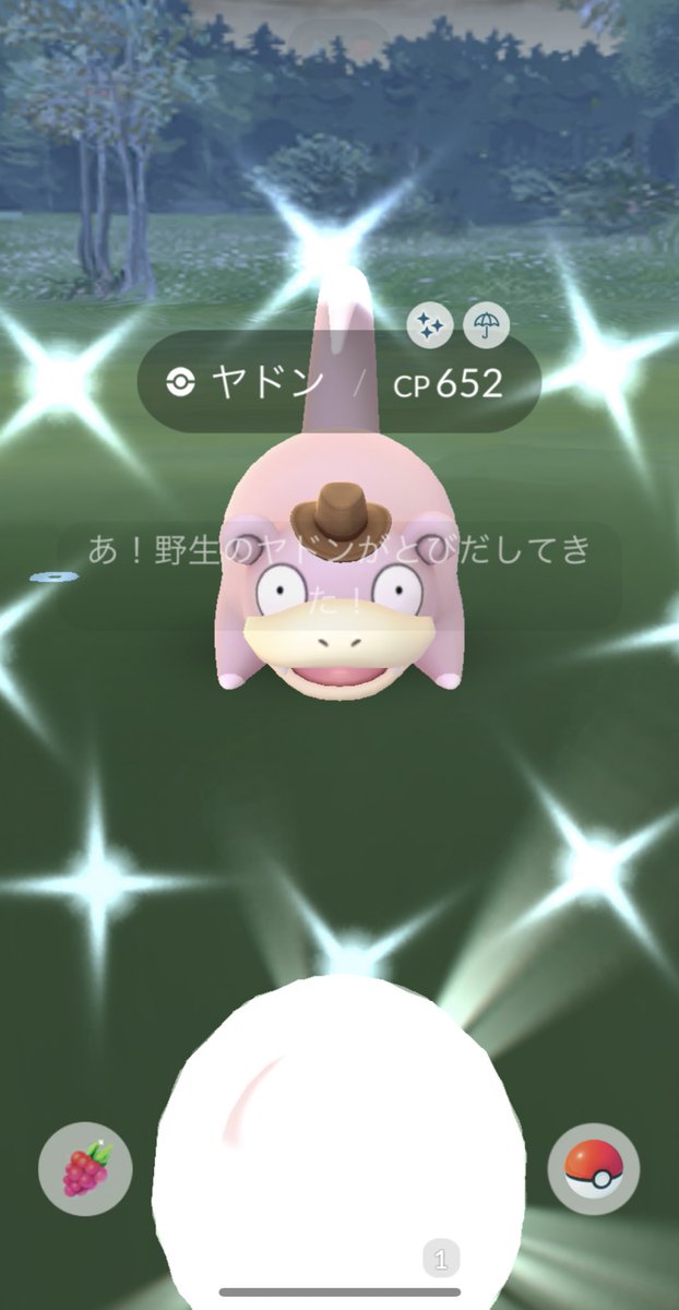 405pbi's tweet photo. やった(*^^*)
神々しいからモンスターボールまで輝いてる😂
 #ポケモンGO色違い https://t.co/SrkJvq3cGe