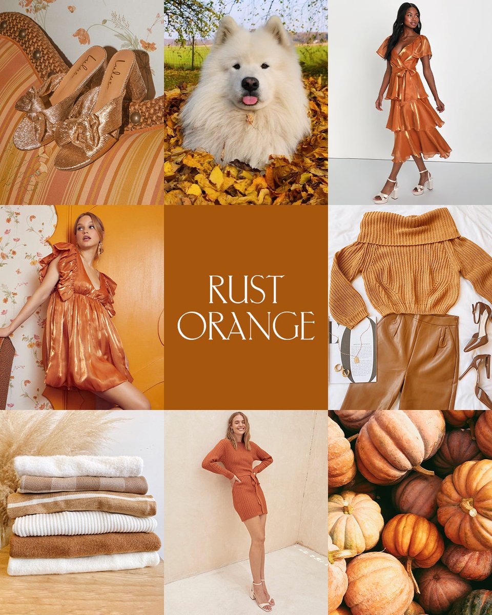 lulusdotcom's tweet photo. it's giving pumpkin spice π€β¨π which rust orange piece will you be adding to cart? π #lovelulus #rustorange #fallvibes https://t.co/D3ttBDzU2E