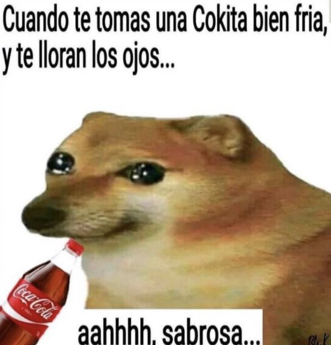 Pibes Forros tweet media