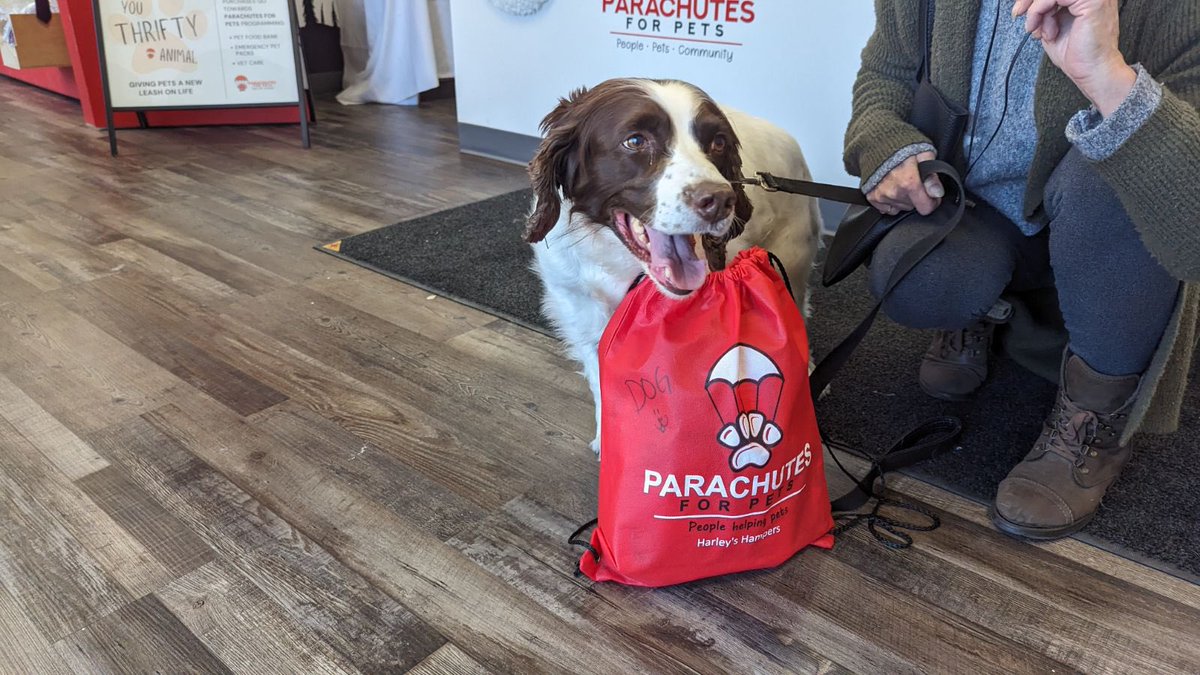 ParachutesP's tweet image. We had 81 pet food hampers sponsored for our pets-giving yesterday! That’s 81 pets who were given 30 days of food. THANK YOU CALGARY❤️

We are thankful for every single one of you who make this possible ❤️  Happy Thanksgiving everyone!