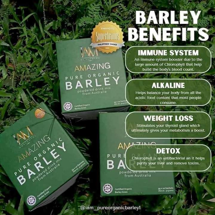 AnnieVillamor4's tweet image. Amazing Pure organic Barley is a natural source of energy-boosting nutrients like iron, B vitamins, and chlorophyll, which can help to combat fatigue and improve overall energy levels. ✅

#amazingpureorganicbarley 
#legitdistributor
