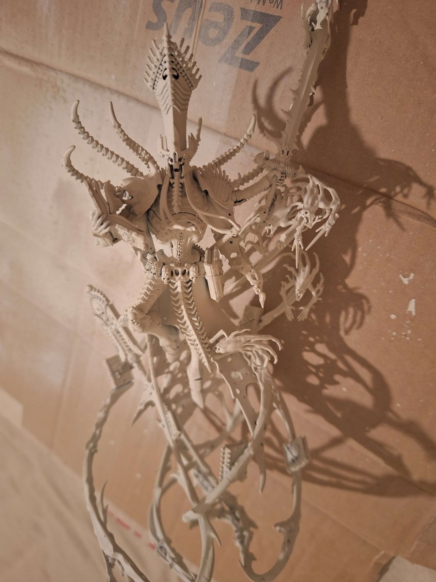 TentacleMerchnt's tweet photo. bone father https://t.co/bJrUZfWbZY