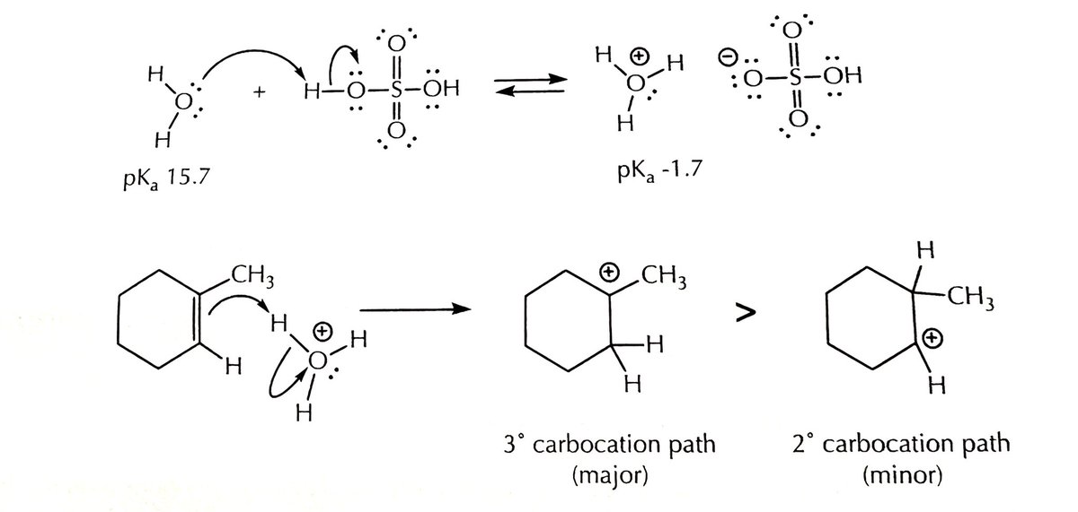 브뢴스테드 약산 (pKa>5)은 강산(pKa<5)이 촉매로 작용할때 C=C와 addition을 할 수 있다
이 반응은 3 스텝으로 이루어진다

1. 강산이 약산을 protonate시켜서 약산의 Conjugate acid를 만들고, 그 Conjugate acid가 C=C를 protonate 시킴 (강산과 동일)