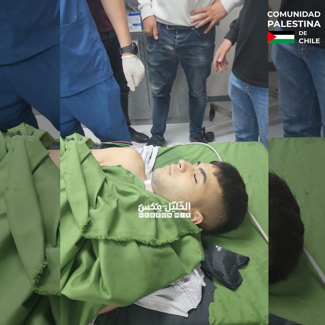 ComPalestinaCL's tweet photo. Estos son los rostros de los niños palestinos asesinados por el ejército de ocupación en Gaza, hasta el momento el número de víctimas asciende a 470, entre ellos 79 niños.
#israelcrimes #israelespartheid #savegaza #savepalestine #gaza #palestine #crimenesdeguerra #sionismo https://t.co/BtAXG8Cm1h