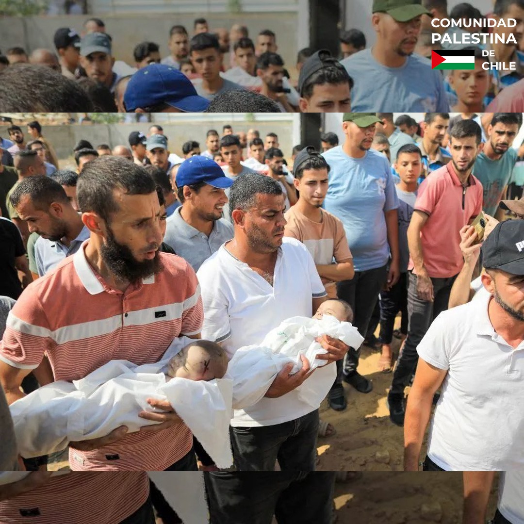 ComPalestinaCL's tweet photo. Estos son los rostros de los niños palestinos asesinados por el ejército de ocupación en Gaza, hasta el momento el número de víctimas asciende a 470, entre ellos 79 niños.
#israelcrimes #israelespartheid #savegaza #savepalestine #gaza #palestine #crimenesdeguerra #sionismo https://t.co/BtAXG8Cm1h