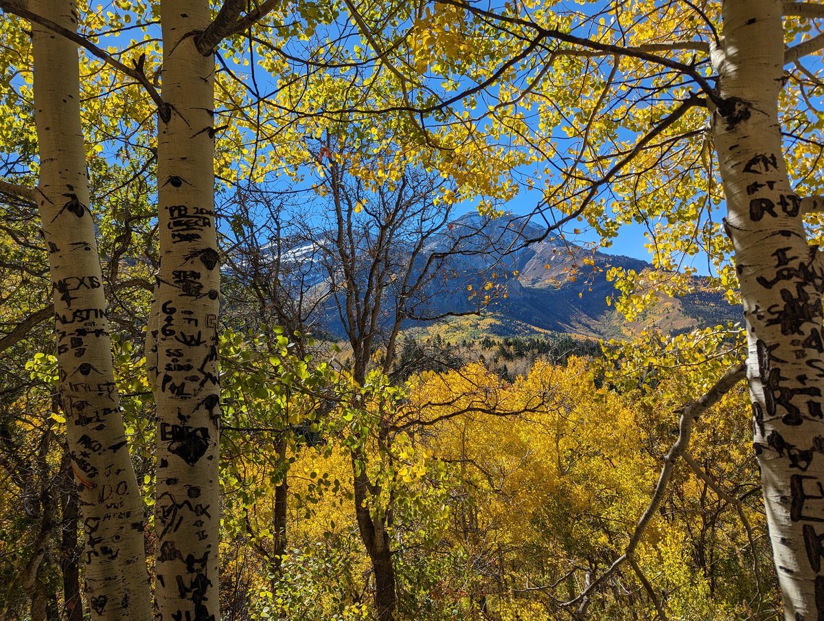 deannakepka's tweet image. BeaUTAHful ❤️🍂🍁🌄. #AlpineLoop