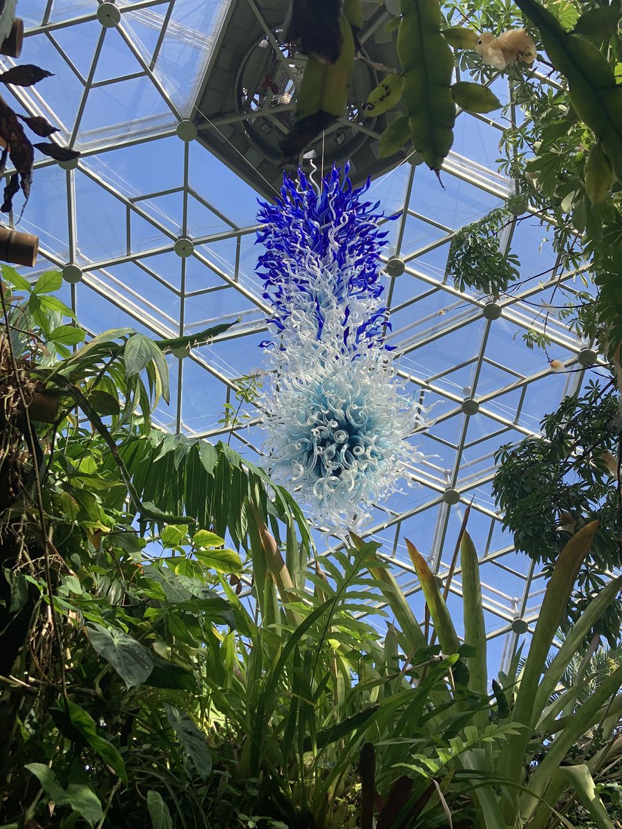 Fordfab5's tweet photo. It was stunning. #growinggreatness https://t.co/CHjAePeysJ