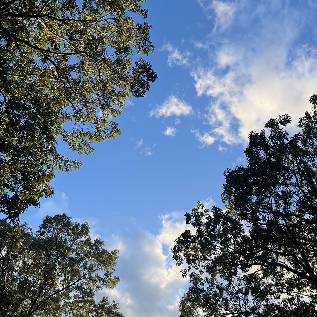 sleepylilguy's tweet photo. walkiewalk https://t.co/cGTHEy0Ut2
