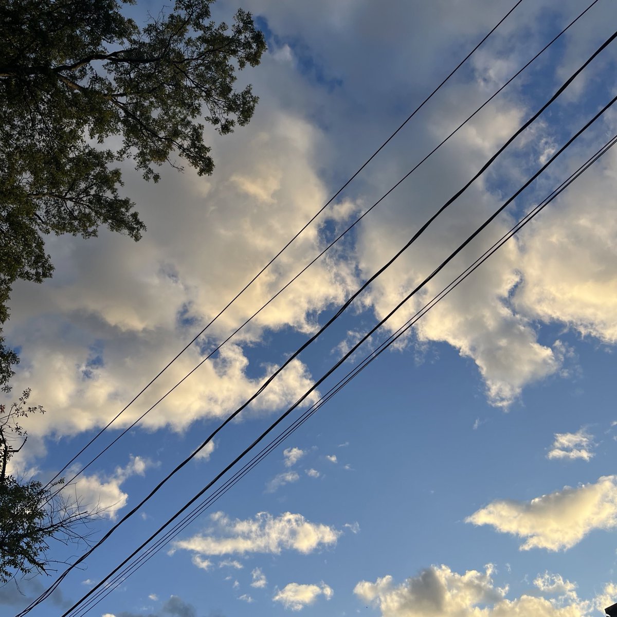 sleepylilguy's tweet photo. walkiewalk https://t.co/cGTHEy0Ut2