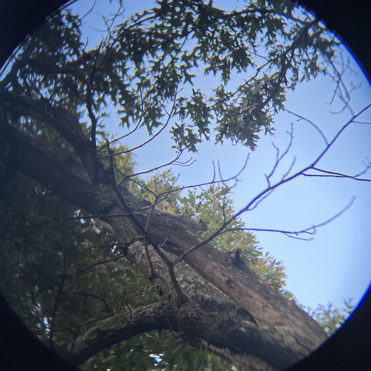 sleepylilguy's tweet photo. walkiewalk https://t.co/cGTHEy0Ut2