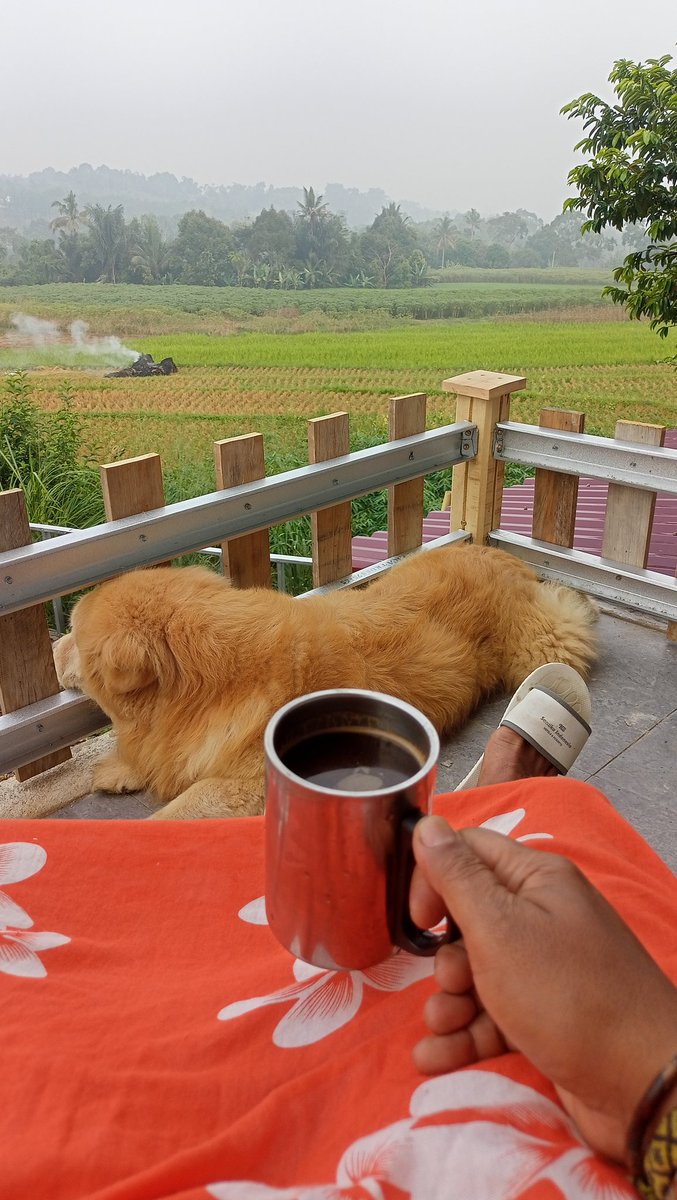 Selamat pagi dunia yang penuh dengan speak nabi...