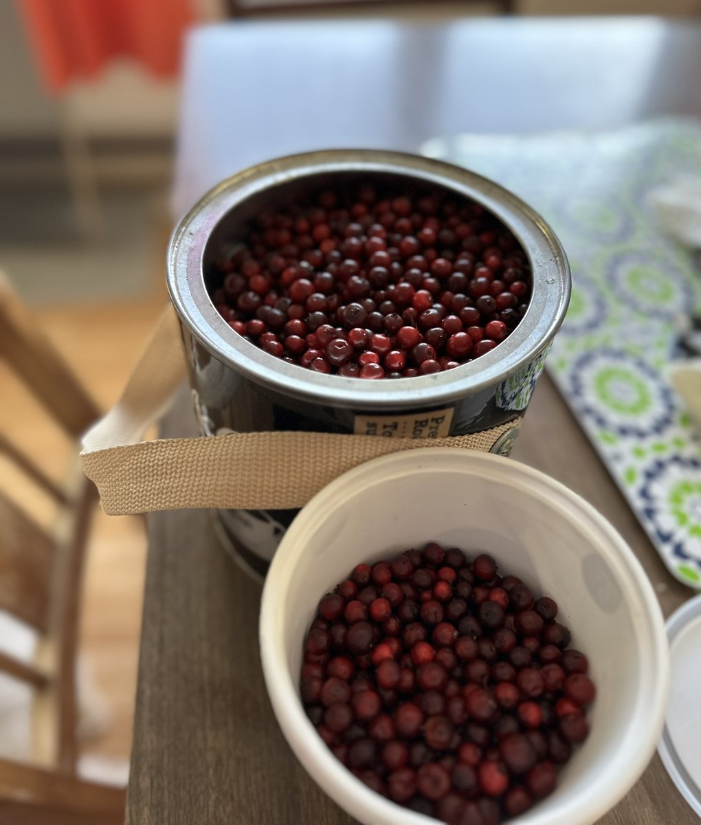 Marlayne Hardy tweet media