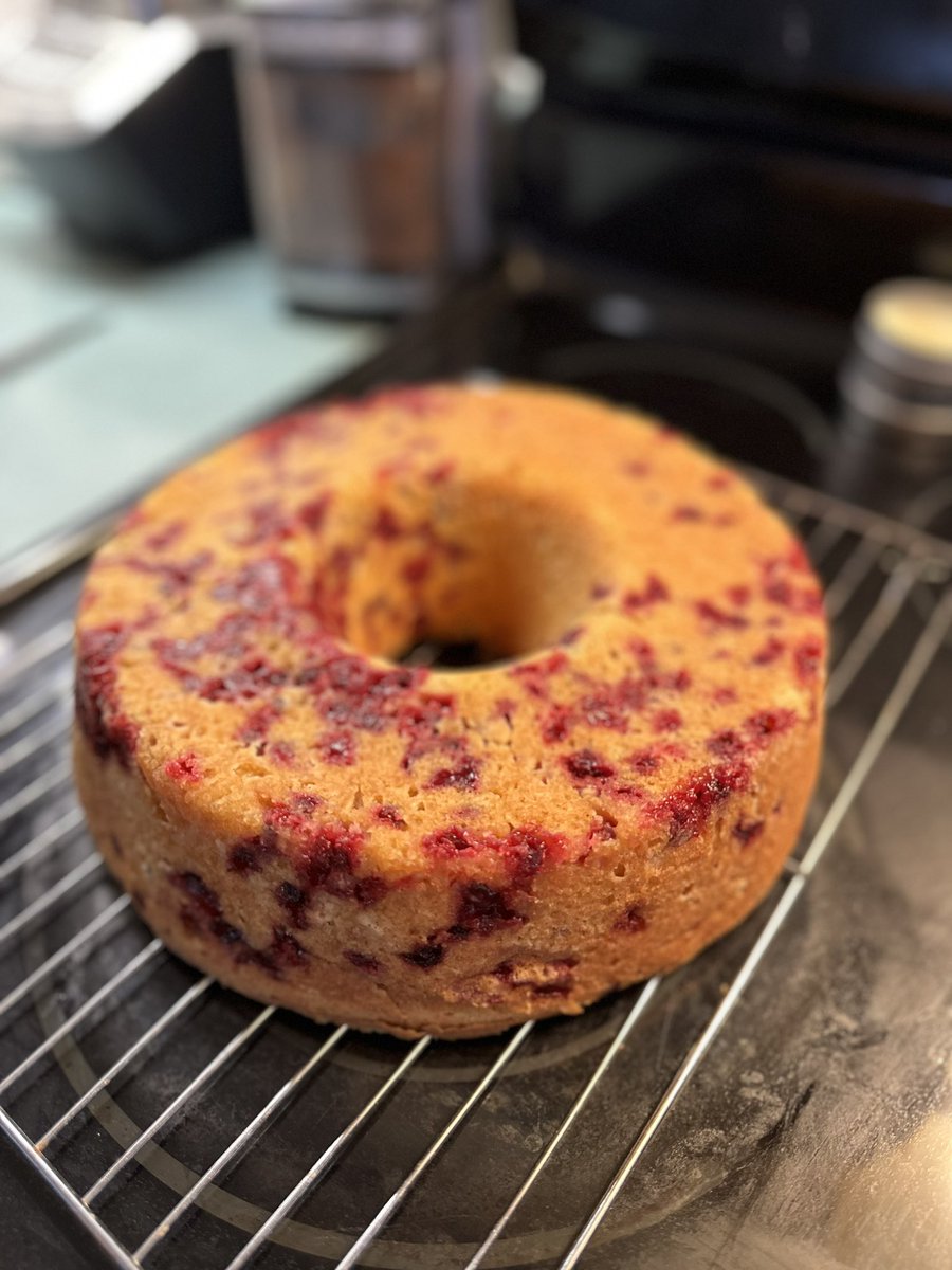 Took advantage of the sun today to pick some partridge berries. After filling 2 “empers” <a href="/hardyland/">Chris Hardy</a> had enough picking 😂. Tried a new recipe for a cake. Will glaze (and taste) tomorrow. Happy Thanksgiving all!