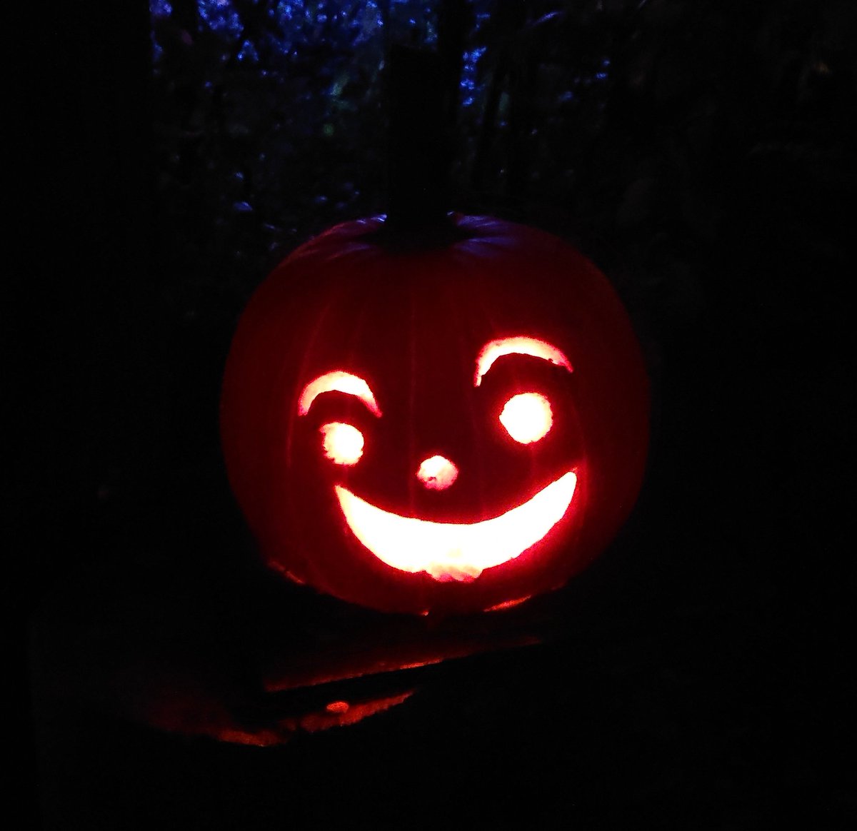 Little Jack-o-lanterns just happy to be here