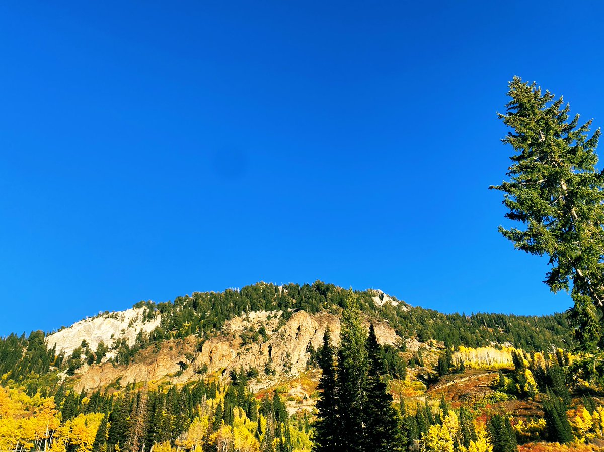 Michelle Kubicki (@misiakubicki) on Twitter photo Feeling lucky and in awe of Utah’s autumn colors. Excited to learn and share my metabolomics work at #KSMetabolites24 with <a href="/KeystoneSymp/">Keystone Symposia</a>. Stop by poster session 2 to see mine, titled “Impact of Circadian Misalignment on Circulating Metabolites During Simulated Night-Shiftwork.” Feeling lucky and in awe of Utah’s autumn colors. Excited to learn and share my metabolomics work at #KSMetabolites24 with <a href="/KeystoneSymp/">Keystone Symposia</a>. Stop by poster session 2 to see mine, titled “Impact of Circadian Misalignment on Circulating Metabolites During Simulated Night-Shiftwork.”