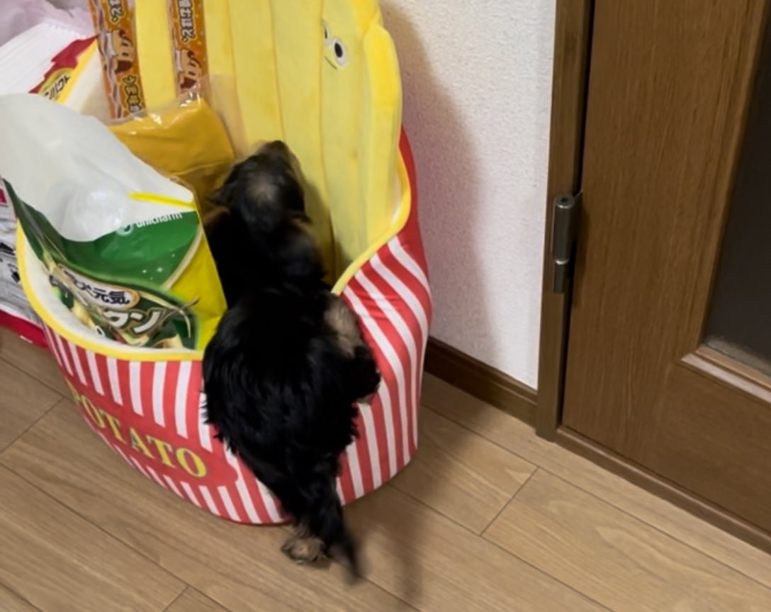 タオルビリビリ🤣
説教！
途中から聞いてない🤣