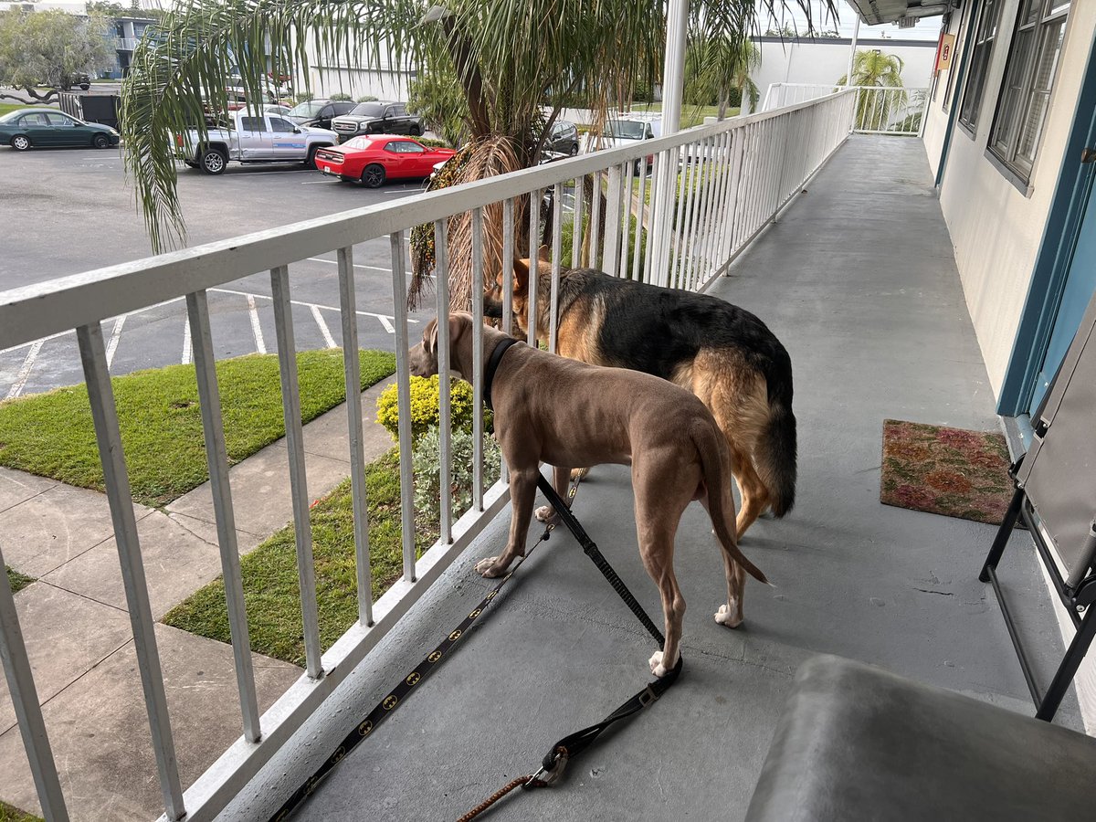 MrPoopsie_'s tweet photo. We’re having beautiful weather in Florida right now. It’s so rare. We are within Joyce. https://t.co/L5FMqQiXoP