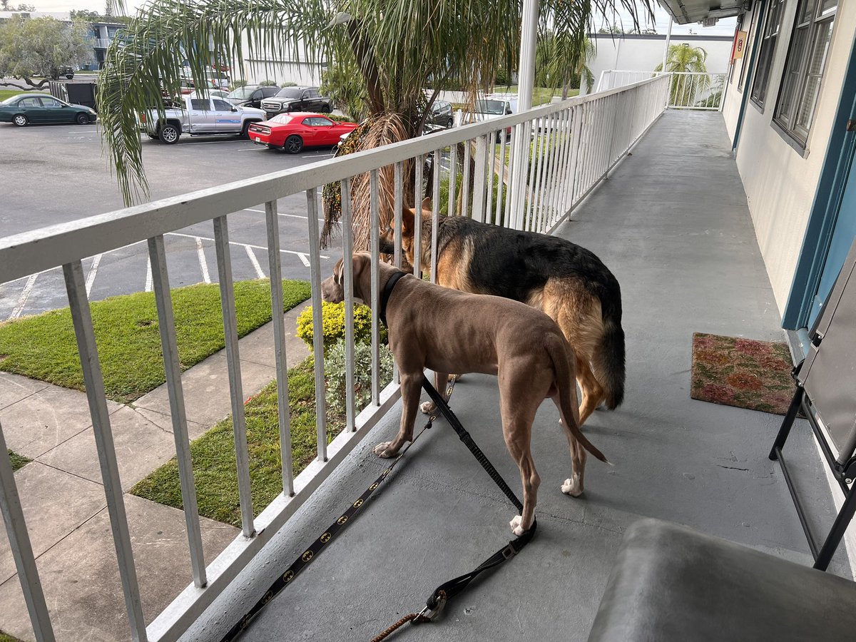 MrPoopsie_'s tweet photo. We’re having beautiful weather in Florida right now. It’s so rare. We are within Joyce. https://t.co/L5FMqQiXoP
