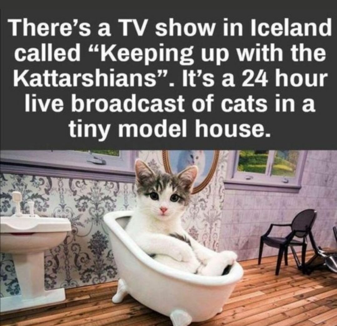 catshealdeprsn's tweet photo. https://t.co/vH2KnWpQud