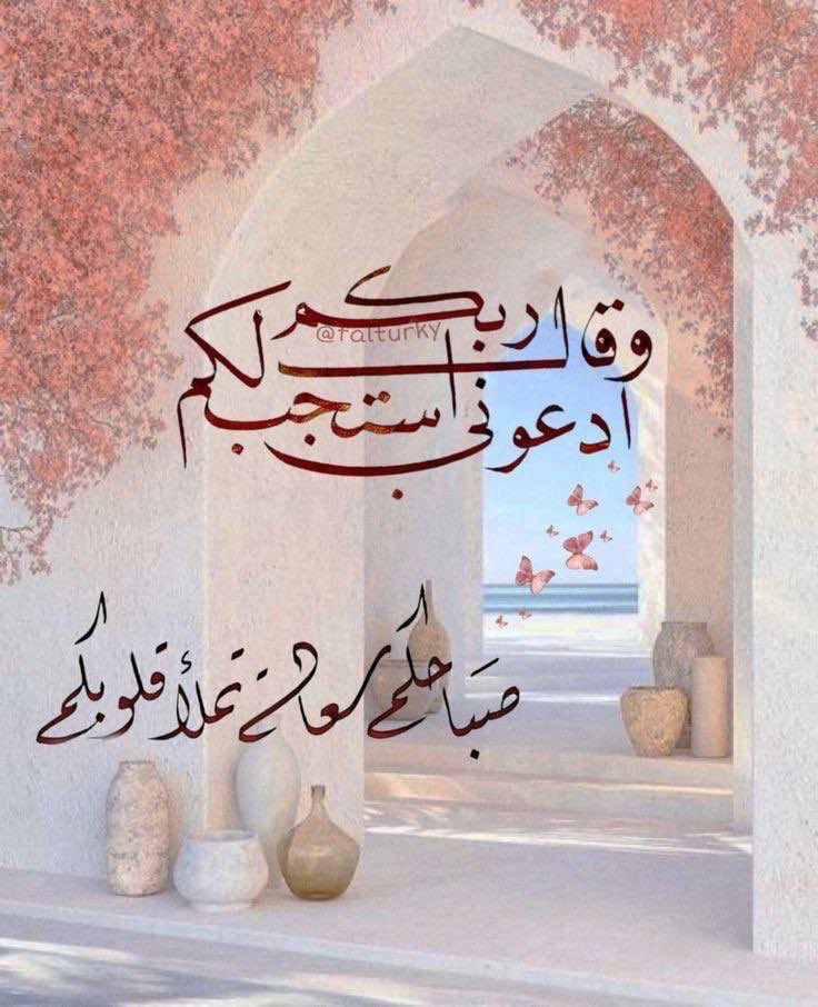 mohdkalshamsi's tweet photo. https://t.co/GmIkhrNCeY