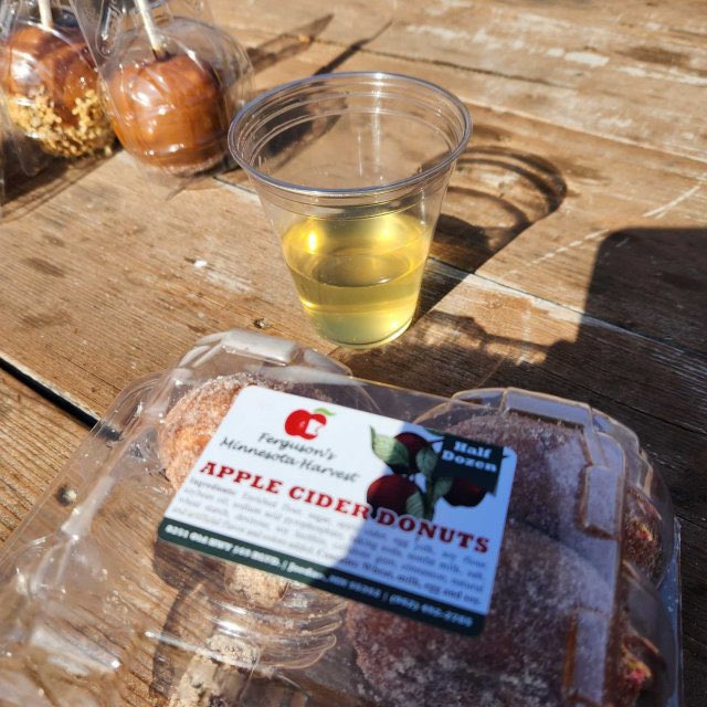 mchamberlainPE's tweet image. Another day, another orchard. This time in Jordan, MN at Minnesota Harvest Orchard.

Fun running into @CoachMatheson are her crew!

More cider, more cider donuts and some more fall fun.

#mnfall