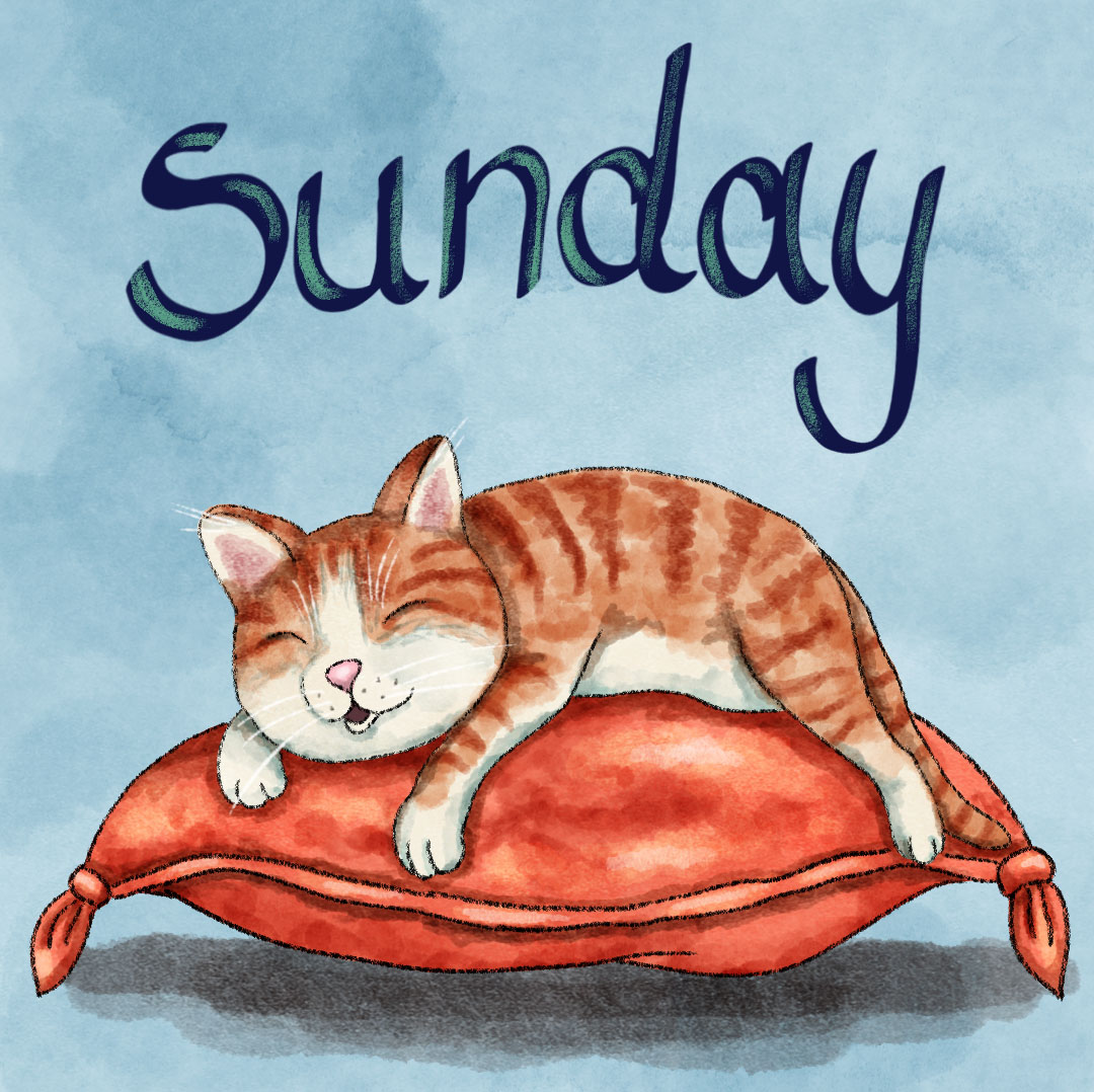 Tchau domingo. #publishing #kidlitillustration #kidlitartist #cat #catlover #desenhodigital #cats #digitalillustration #watercolor #aquarela #sunday #domingo #domingou #digitaldrawing #childrenbookillustration #childrenillustrations #sleep #amogatos #gatos #gatosfofos