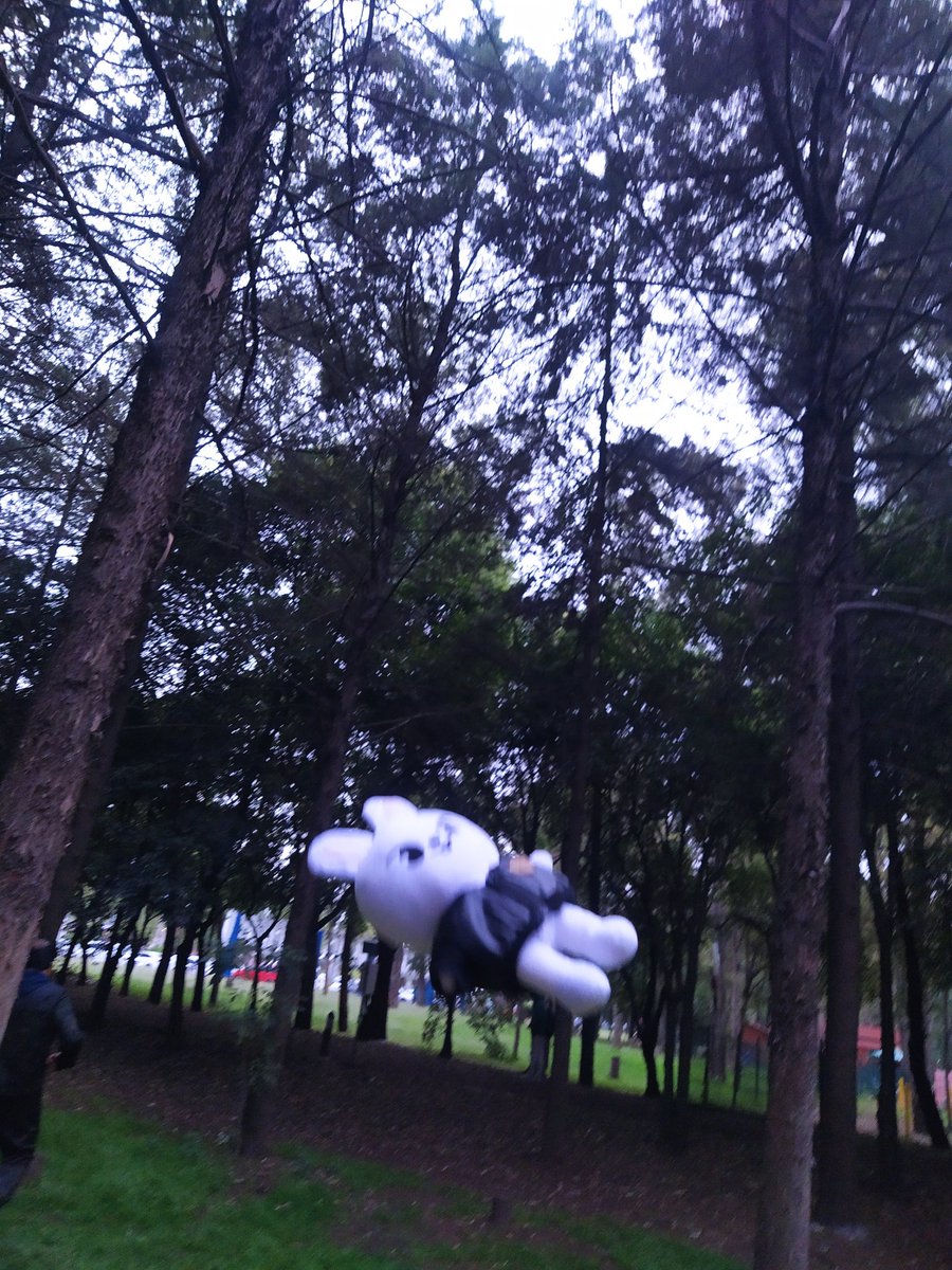 seungelical's tweet photo. gente le hice sesión de fotos a leebit en el bosque https://t.co/GKFsalVI2V
