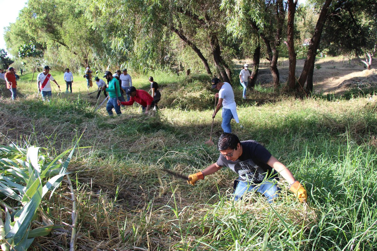 DesEconomicoOax's tweet photo. En equipo con @IFPA_GobOax, @BanOaxaca y @IODEMC_GobOax participamos en el Mega #TequioBienestar organizado por la @SEBIENTI_GobOax realizando labores de poda y limpieza en las riberas del Río Atoyac.

#UnPuebloTransformandoSuHistoria https://t.co/gYO0fce6bL
