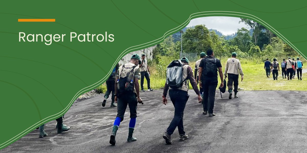 IC-CFS Malaysia tweet media