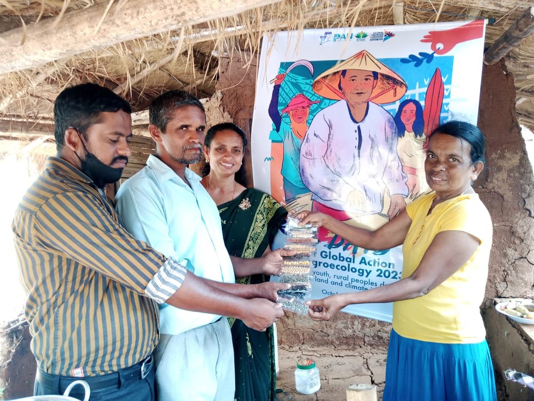 APEX_Platform's tweet photo. FROM THE PARTNERS | As part of the #16DaysOfGlobalAction on #Agroecology 2023, leaders of Vikalpani Women's Federation visited Monaragala Niyedella secondary school. https://t.co/U6jd36s3vO