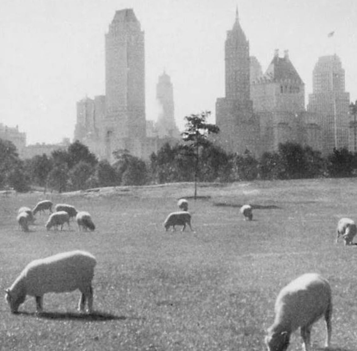 Central Park during the Great Depression, 1933. The homeless