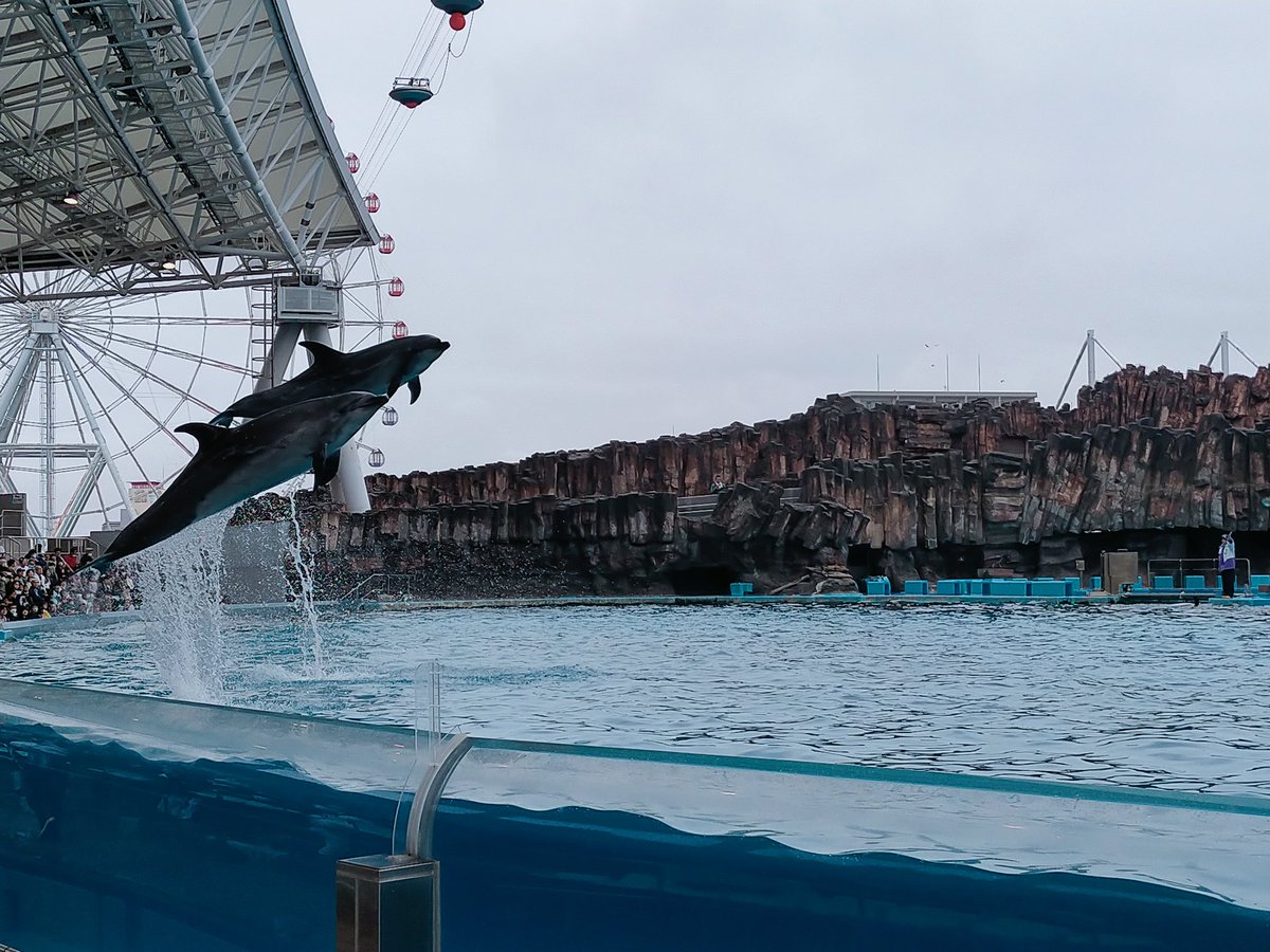 名古屋港水族館へー🐟
夜勤明けですこし頭ぼんやり…