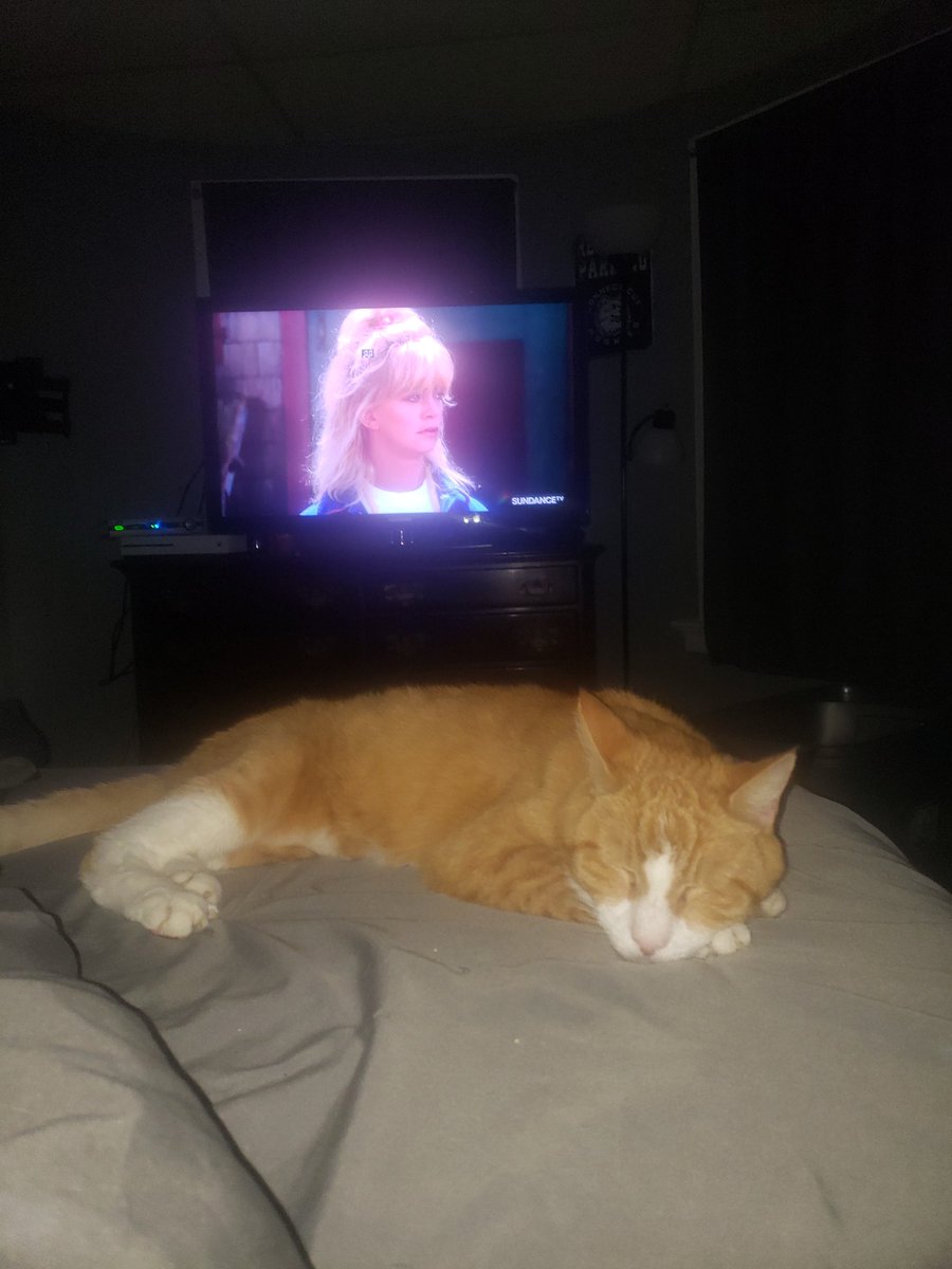 CJ11712's tweet photo. The best boy only likes me and my dad.... yes I'm an old soul and watching overboard https://t.co/vb0LeGahog