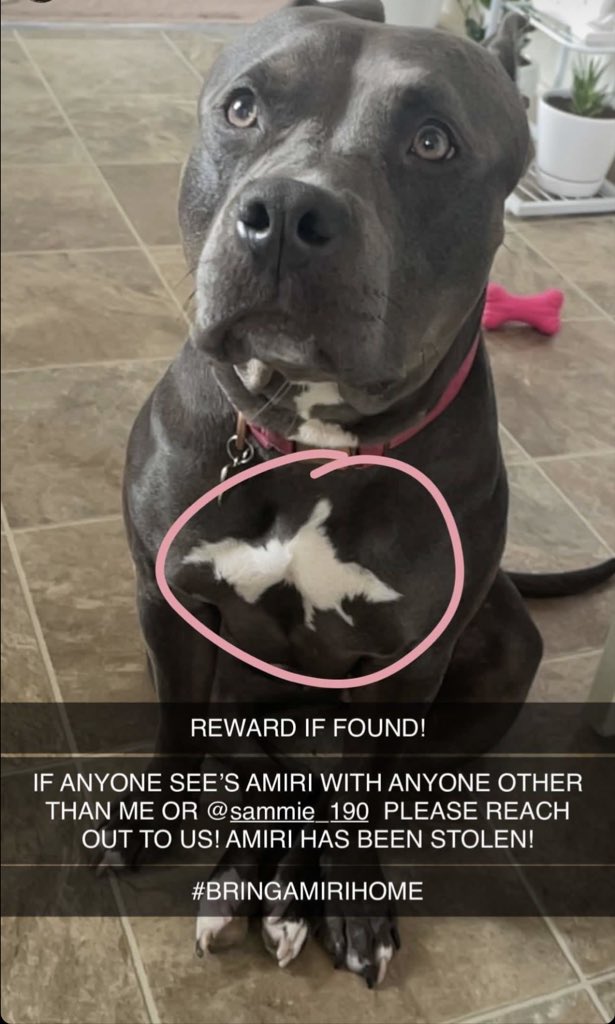 samantha 👑 tweet media