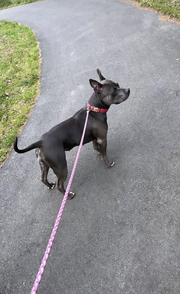 samantha 👑 tweet media