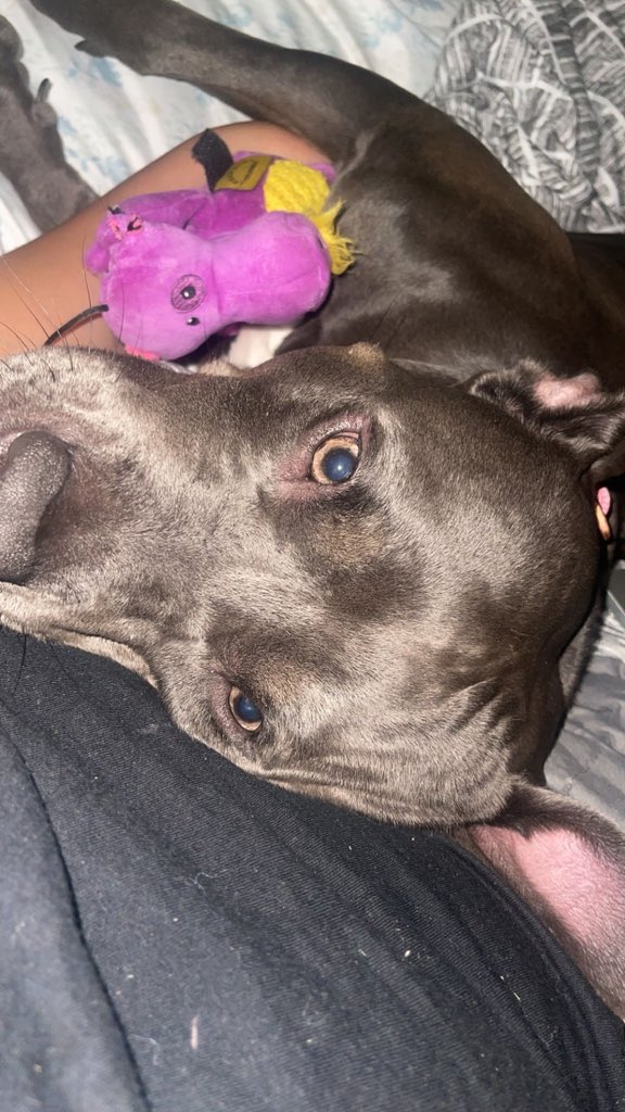 samantha 👑 tweet media