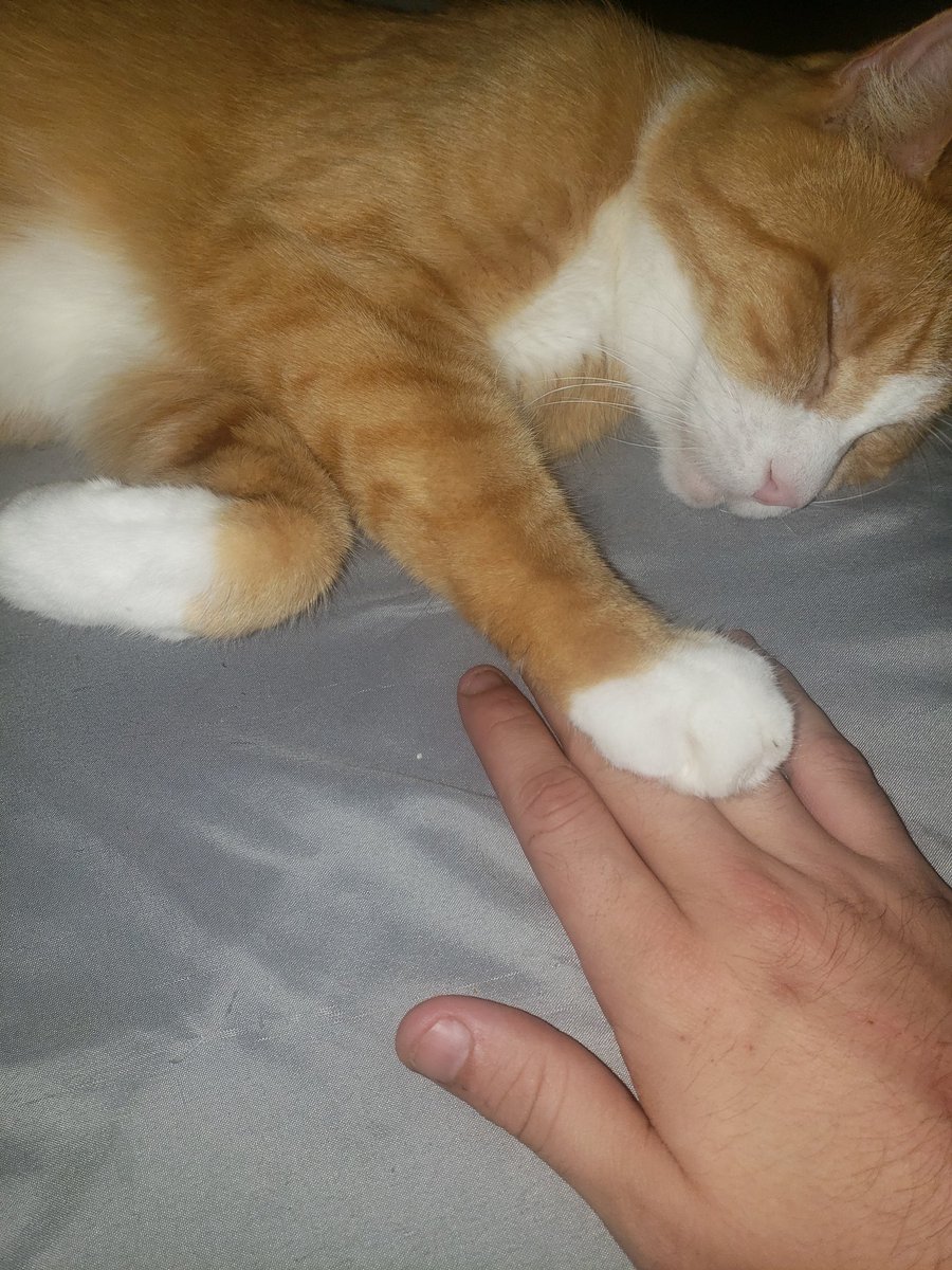 CJ11712's tweet photo. Now he wants to hold hands https://t.co/d6nGigguNC
