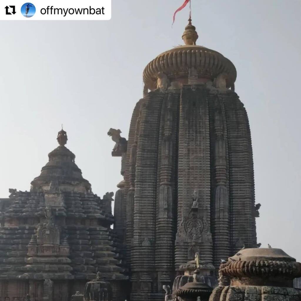 Bhubaneswar Buzz tweet media