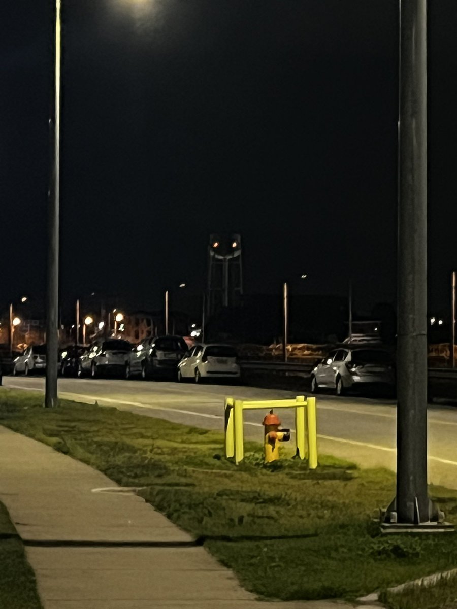 ojs_8661's tweet photo. I was taking out the trash last night and I saw this monstrosity staring at me https://t.co/RZKSXa6FEi