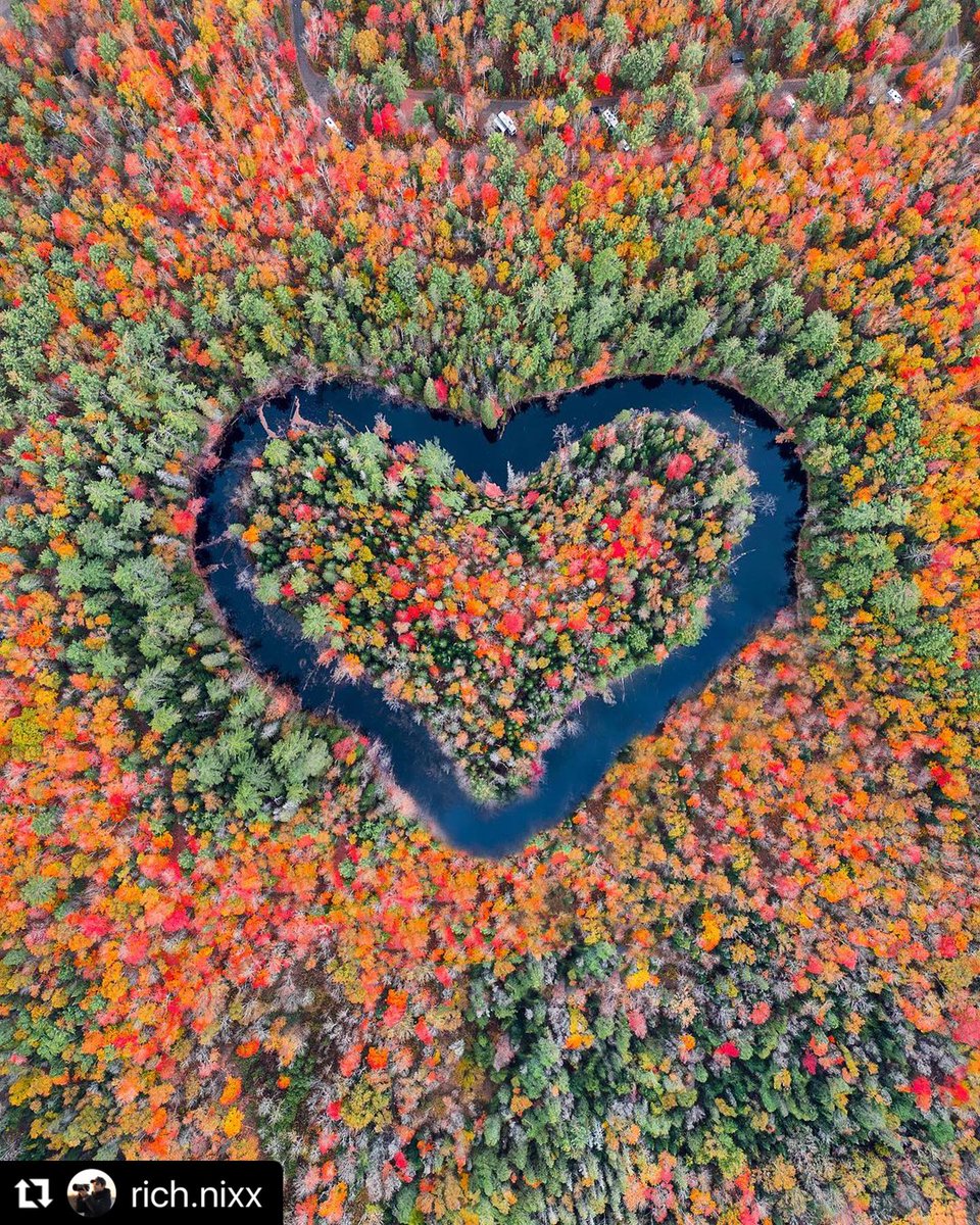 Canada 🇨🇦 ❤️💜💙💚💛🍁
In love with autumn 😍
#canadavisuals #streetsoftoronto #toronto #exploretoronto #torontolife #torontolove #torontocanada #cntower #blogto #ontariocanada #ontariotravel #ontario #exploreontario #ontarioparks