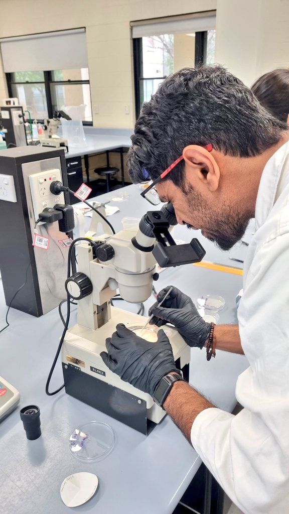 Eliot Hanrio (@sci_elioth) on Twitter photo Last microplastics and XRD prac sessions in the lab with Masters students. Big props to <a href="/emielda_y/">EmieldaY</a>, <a href="/DrAndrewRate/">👨🔬Andrew Rate 🌏💚</a>, <a href="/Degleeson/">Deirdre Gleeson</a> and Jessie Weller for making it fun! <a href="/UWAresearch/">UWA Research</a> <a href="/SAgE_UWA/">UWA SAgE</a> Last microplastics and XRD prac sessions in the lab with Masters students. Big props to <a href="/emielda_y/">EmieldaY</a>, <a href="/DrAndrewRate/">👨🔬Andrew Rate 🌏💚</a>, <a href="/Degleeson/">Deirdre Gleeson</a> and Jessie Weller for making it fun! <a href="/UWAresearch/">UWA Research</a> <a href="/SAgE_UWA/">UWA SAgE</a>