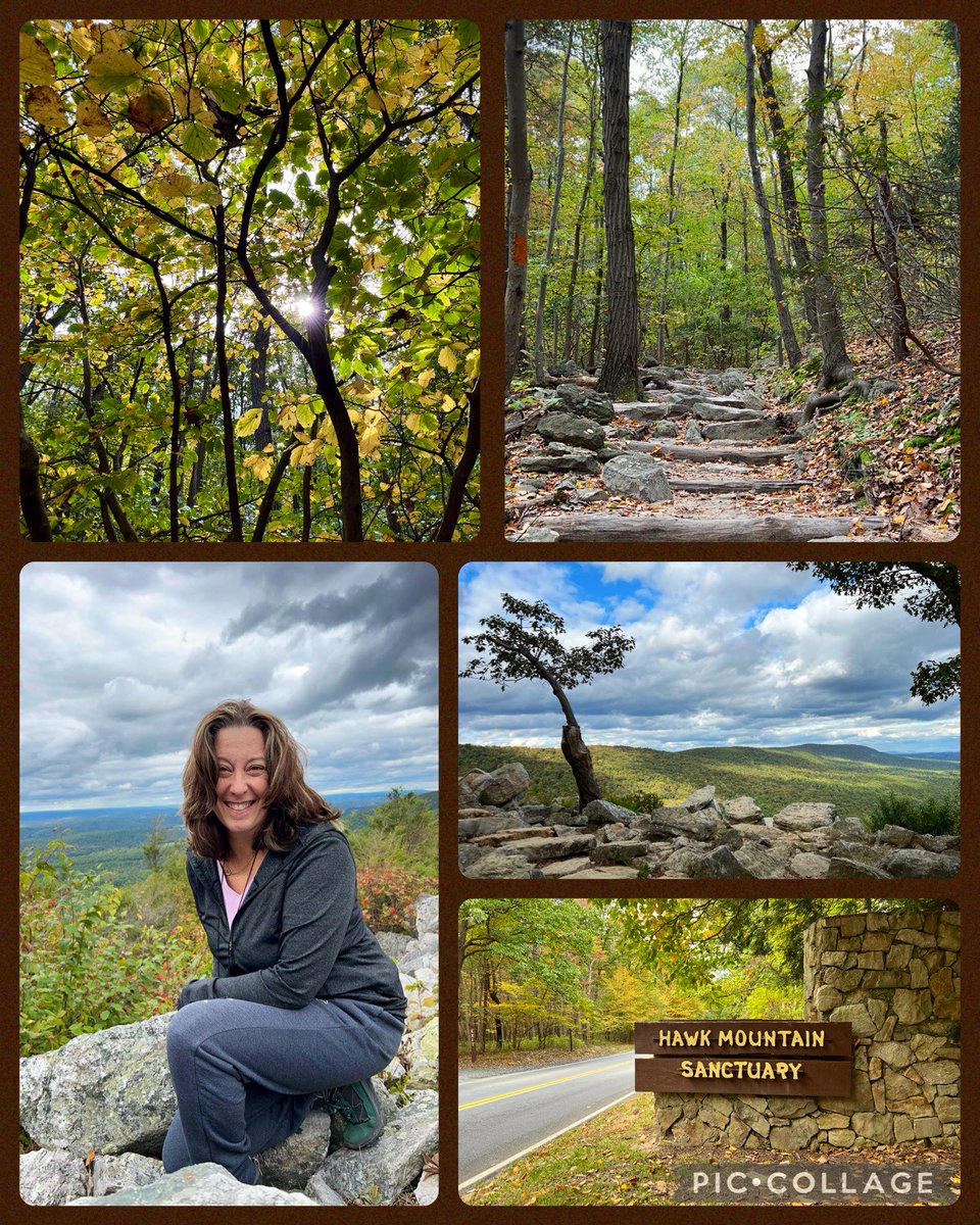 A crisp fall day at #HawkMountain. So beautiful. Feeling very grateful. 🥾🥾🍁🍃🍂🦅